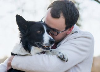 Ansiedad por separación, una problemática de la nueva normalidad Cuidado Animal