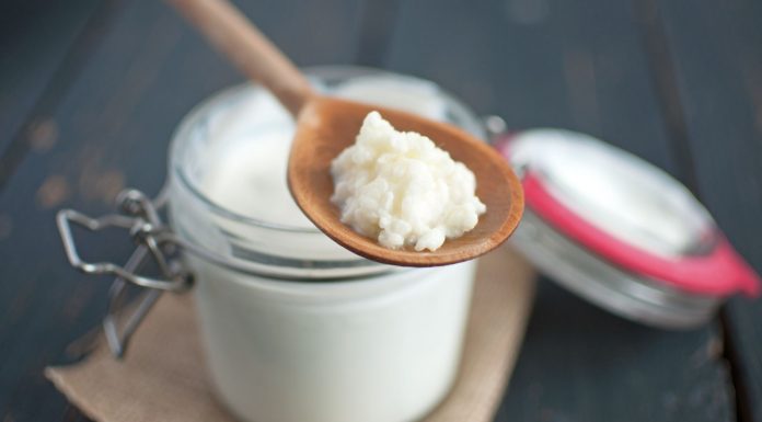 ¿Qué son los probióticos y cuáles son sus beneficios? Probióticos