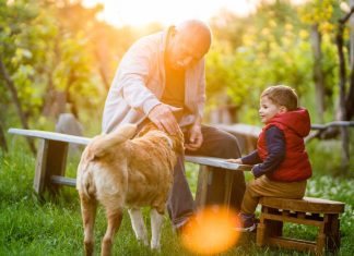 Nuevas formas de familia Nuevas familias