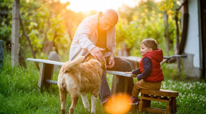 Nuevas formas de familia Nuevas familias