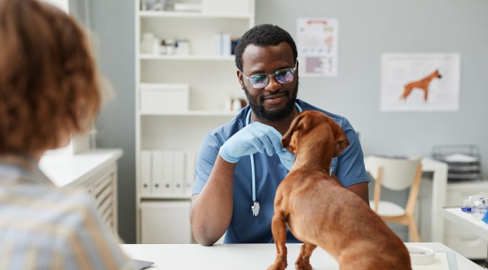Enfermedades transmitidas por las mascotas Enfermedades transmitidas por mascotas