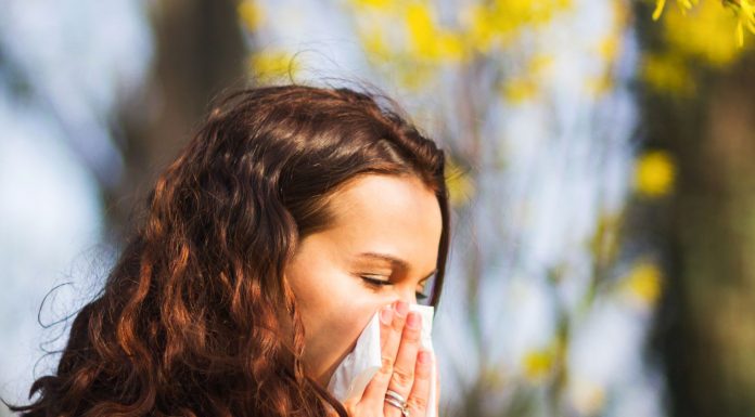 Rinitis alérgica estacional Alergia Estacionaria