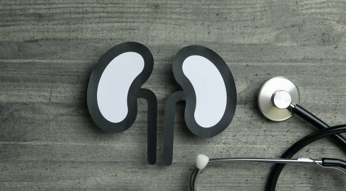 Los riñones cuidan de ti, ¿tú los cuidas? Cuidado de los riñones