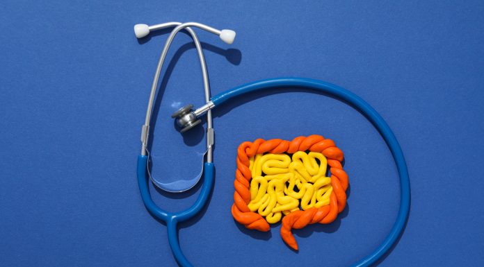 Salud digestiva: prevención de enfermedades gastrointestinales Salud Digestiva