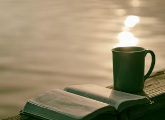 Desconectar para conectar Desconecta tu mente